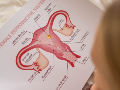 Waarom houden meer transmannen hun baarmoeder?