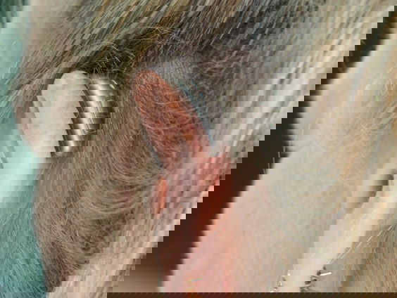 5e editie diner voor doven en slechthorenden