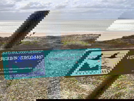 Na 15 jaar toch natuurcompensatie voor aanleg Tweede Maasvlakte