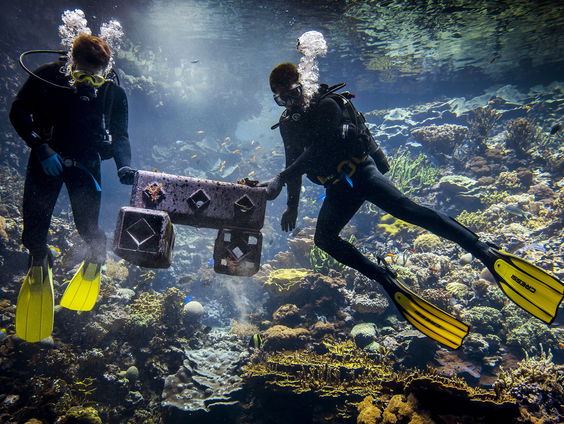 Vernielde koraalriffen door dynamietvisserij