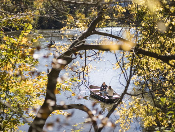 Hanne Tersmette vertelt over impact van de warme herfst op de natuur