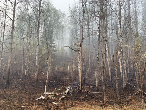 Angst voor meer bosbranden in het westen van Canada
