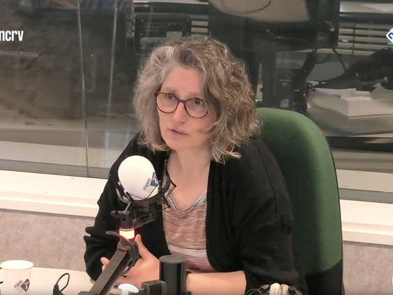 Het Taalloket: Roos de Bruyn