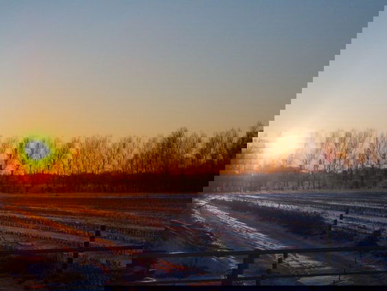 De schoonheid van het winterlicht