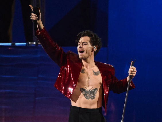 Nieuwe biografie over Harry Styles