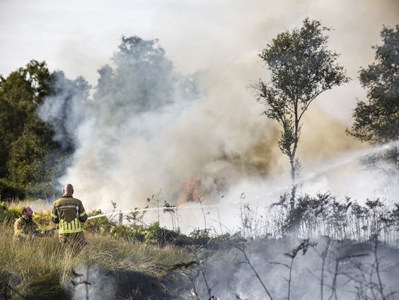 Vaker felle natuurbranden in Nederland, waarschuwen deskundigen