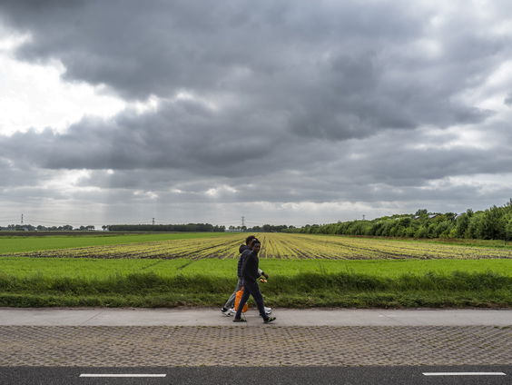 Kamer praat over voorstel om asielzoekers meer te laten werken