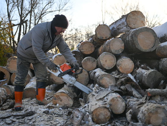 Hout halen uit het bos, het mag eigenlijk niet. In Nederland hebben we houtroof.