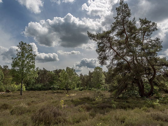 Wat ligt er nog in de grond bij Fort Vechten?