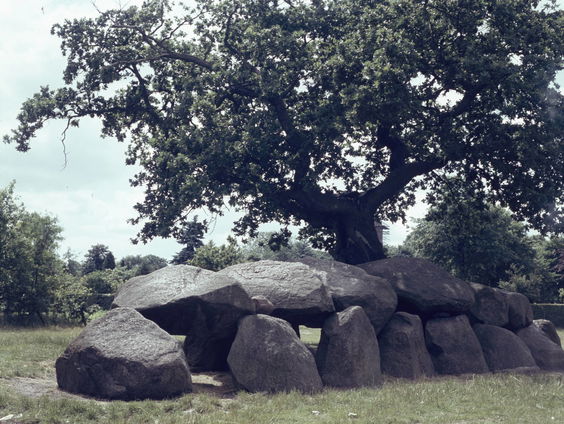 Het Spoor Terug: de Hunebedbouwer