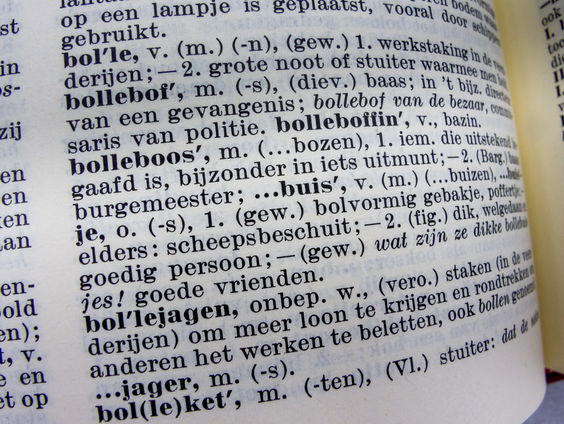 Nieuwste editie Dikke Van Dale verschijnt vandaag