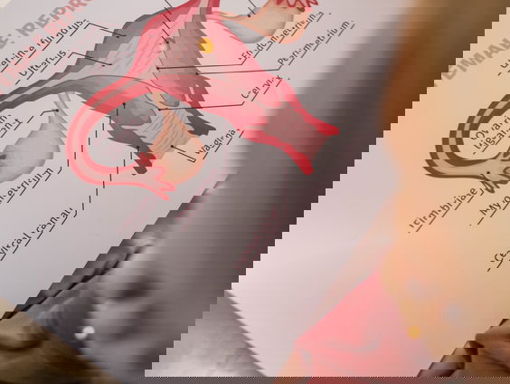 Dansvoorstelling over de vulva