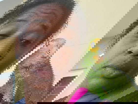 De Tijdcapsule: dierenarts Odette Doest over wilde dieren op Curaçao