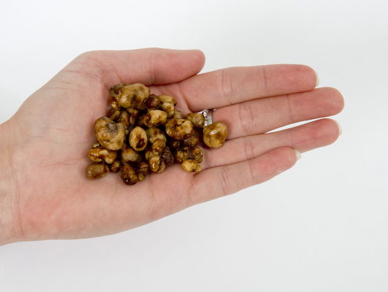 Is het verstanding om microdosis van hallucinerende middelen aan te prijzen?