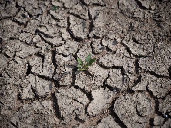 Klimaatwetenschappers: beperken opwarming aarde gaat mislukken