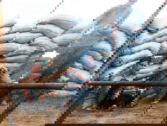 Filmmaker Daya Cahen filmde Poetins jeugdbeweging