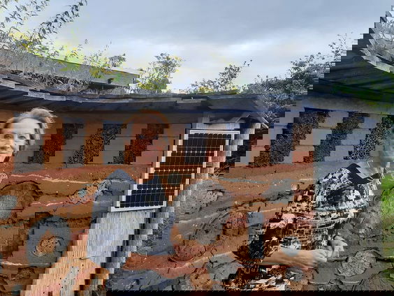 Zomerportret: Louise Vet