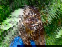 Kim van Sparrentak loodste de AI Act door het Europees Parlement