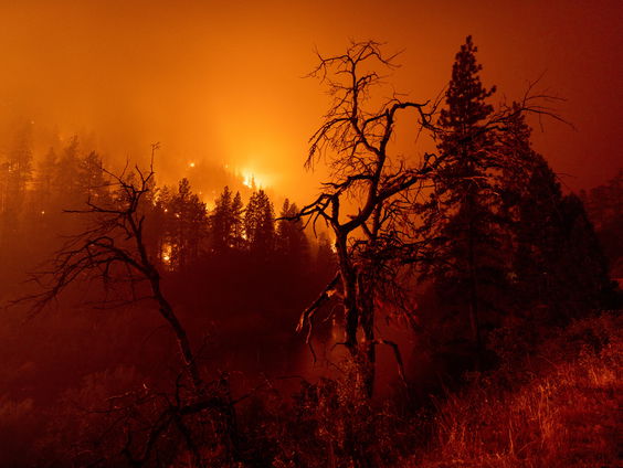 Hoe komt het dat bosbranden lokaal het weer bepalen?