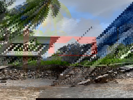 Serie Ontketend: het verhaal van verzetsstrijder Boni