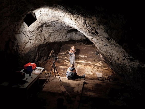 Op een hangertje van 24.000 jaar oud vond men DNA van de draagster