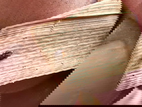 Zeggekorfslak: nietig en nuttig