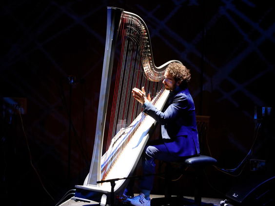Harpist Remy van Kesteren over zijn nieuwe album 'Muses'