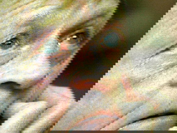 Michiel Kraijkamp en Ferry Reurink schreven een biografie over de baldadige en kleurrijke voetbaltrainer ...