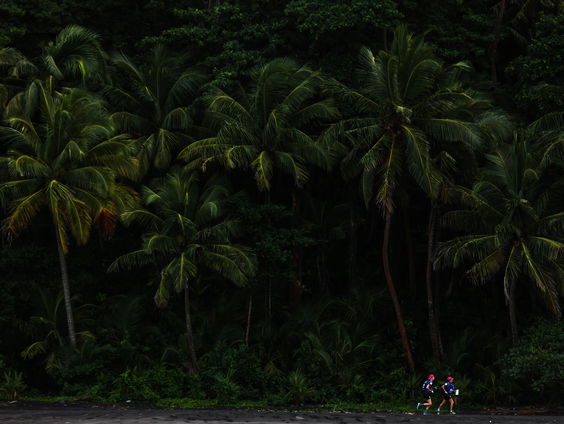 Help een tropisch bos door in Nederland tropisch hout te kopen