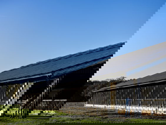 Wat zei Brussel binnenskamers over de gedwongen uitkoop van boeren?