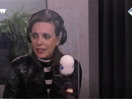 Hoogleraar Désirée van Gorp pleit voor het vechten voor de democratie