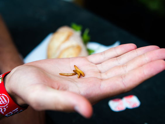 Mensen die op Mars wonen krijgen misschien wel meelwormen te eten