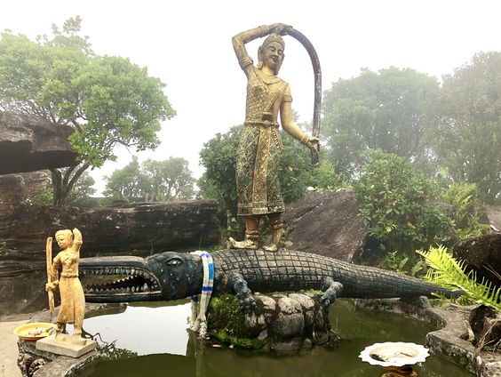 De bedreigde zoetwaterkrokodil in Cambodja