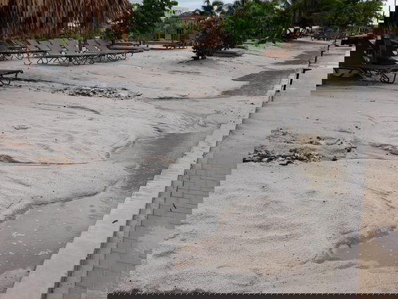 Kunstmatig zandstrand bedreigt koraal van Bonaire