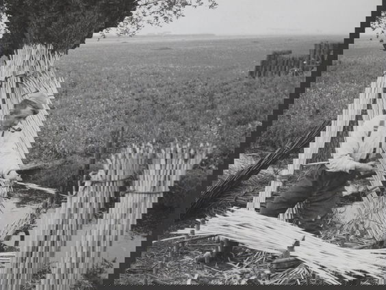 James Kennedy schrijft het essay voor de Maand van de Geschiedenis