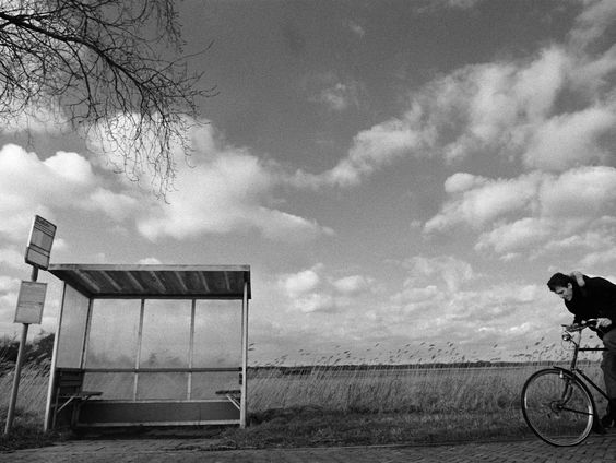 Verbod op reclames voor vlees, vis en fossiele brandstoffen op bushokjes in Noord-Holland