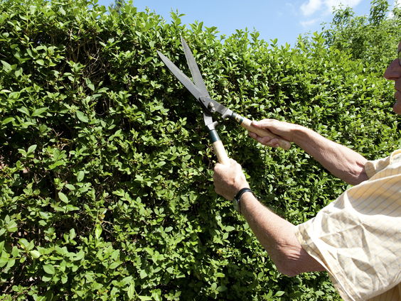 Wat kan de wetenschap al om veroudering terug te draaien?