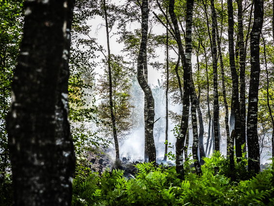 VN-akkoord: '30 procent aarde moet beschermd natuurgebied worden'