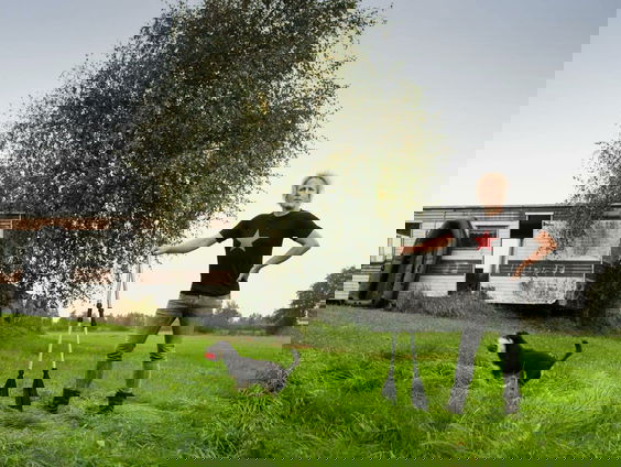 Geertjan Lassche's nieuwe serie 'Het land van Jan en Alleman'