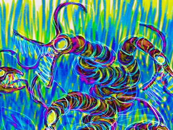 Het Spoor Terug: Een verborgen Surinaamse schat #3: Het wee ontsluierd