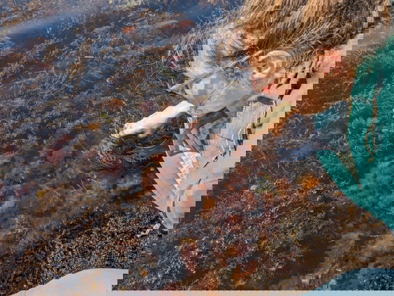 Grevelingenmeer kleurt minder rozerood dan vorig jaar