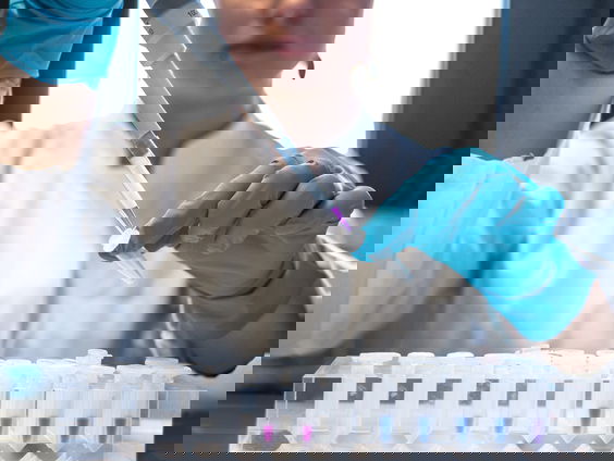 Oekraïense wetenschappers vluchten liever naar Duitsland of Polen