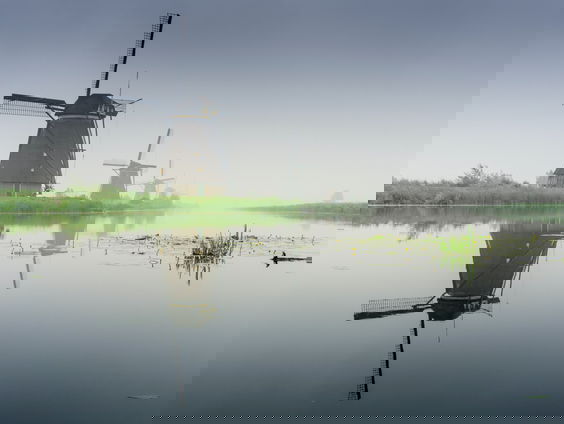 'Denkend aan Holland' als inspiratie voor vele dichters