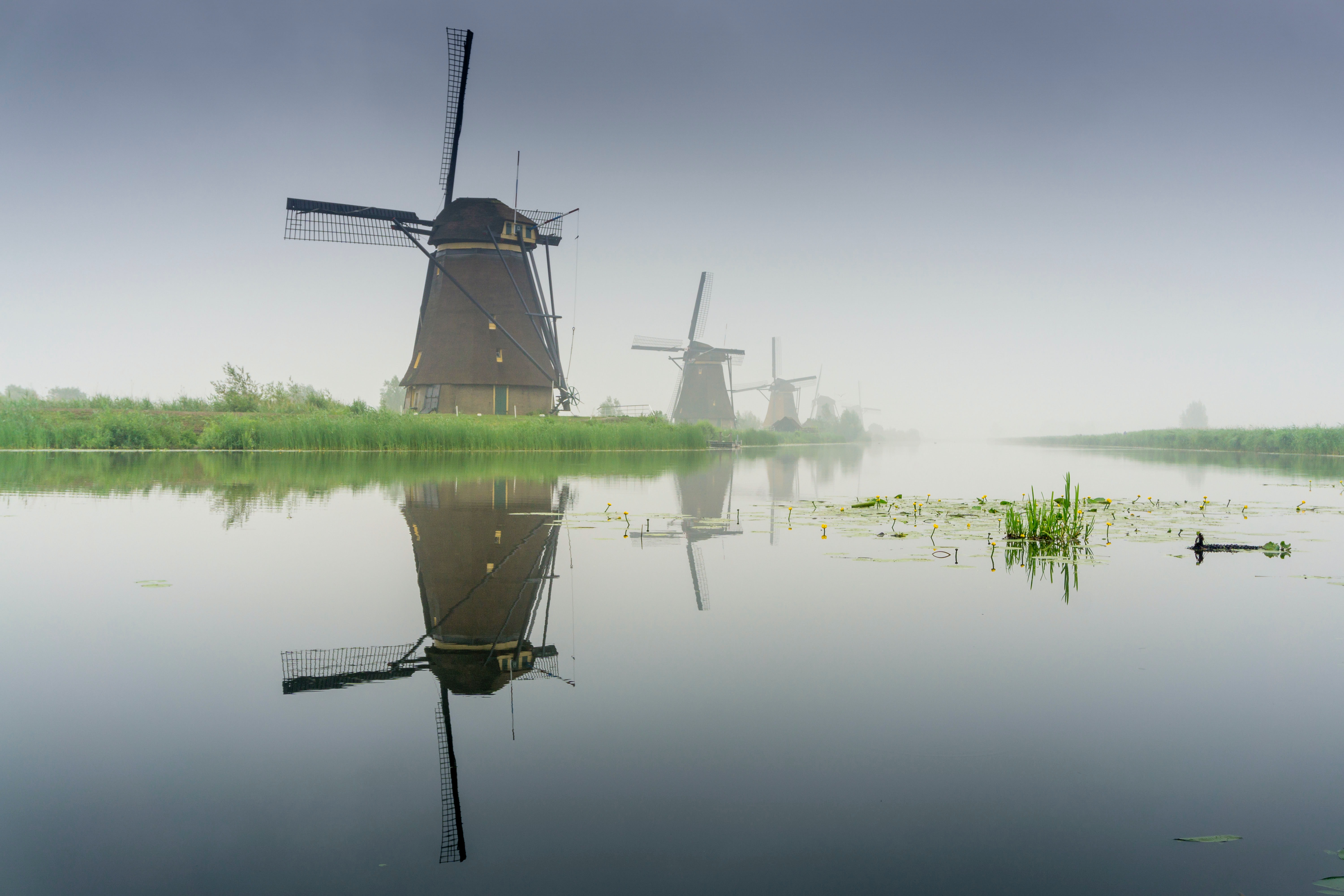 'Denkend aan Holland' als inspiratie voor vele dichters | NPO Radio 1