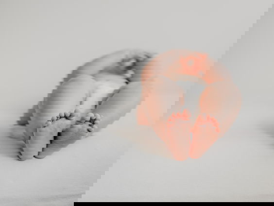 Adoptiedossier van Stephanie werd vernietigd