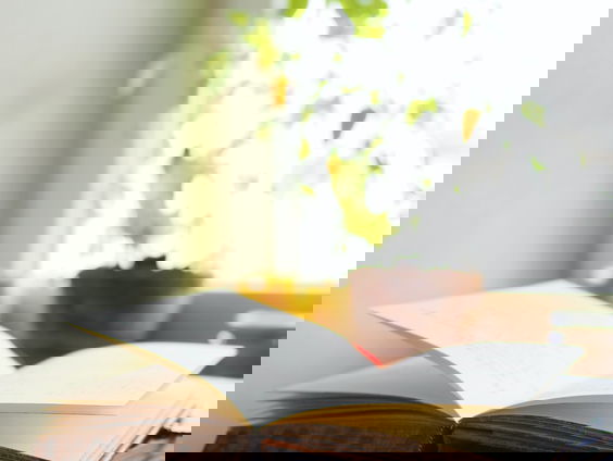 'Abnormaal gewoon', Bas Timmers brengt nieuw boek uit