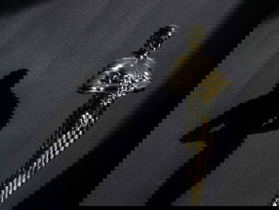 Cameraman Jasper Wolf stemde als Academy-lid voor zijn favoriete Oscar-nominaties