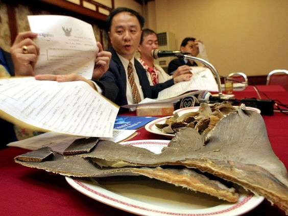 Nederland opvallend grote leverancier van haaienvinnen