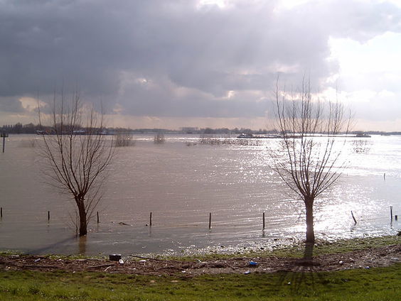 Hoogwater in 1995: hoe evacueer je een kwart miljoen mensen?