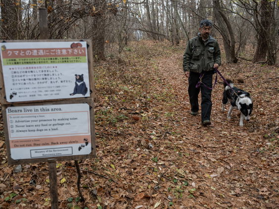 Japan wordt geteisterd door beren